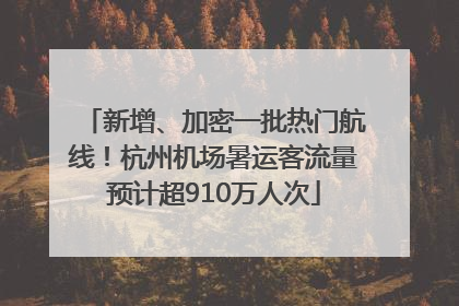 新增、加密一批热门航线！杭州机场暑运客流量预计超910万人次