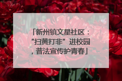 新州镇文星社区：“扫黄打非”进校园，普法宣传护青春