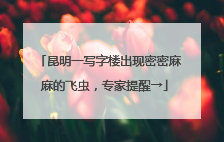 昆明一写字楼出现密密麻麻的飞虫，专家提醒→