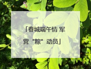 春城端午情 军营“粽”动员
