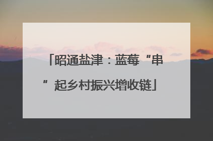 昭通盐津：蓝莓“串”起乡村振兴增收链