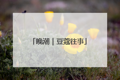 晚潮｜豆蔻往事