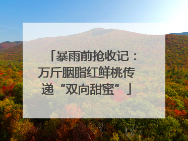 暴雨前抢收记：万斤胭脂红鲜桃传递“双向甜蜜”