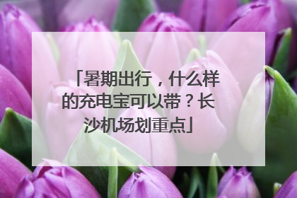 暑期出行，什么样的充电宝可以带？长沙机场划重点