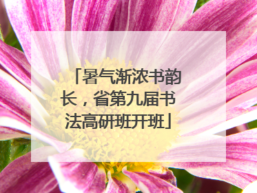暑气渐浓书韵长，省第九届书法高研班开班