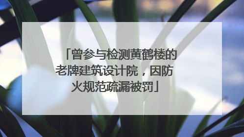 曾参与检测黄鹤楼的老牌建筑设计院，因防火规范疏漏被罚