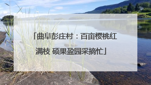 曲阜彭庄村：百亩樱桃红满枝 硕果盈园采摘忙