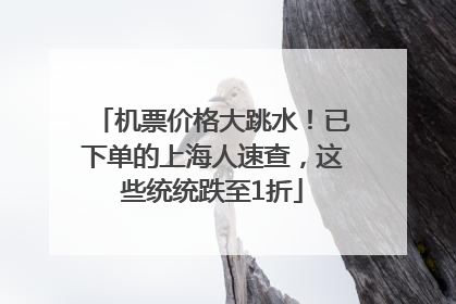 机票价格大跳水！已下单的上海人速查，这些统统跌至1折