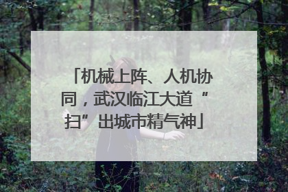 机械上阵、人机协同，武汉临江大道“扫”出城市精气神