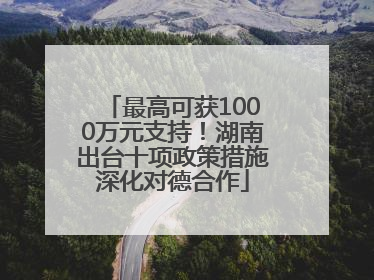 最高可获1000万元支持！湖南出台十项政策措施深化对德合作