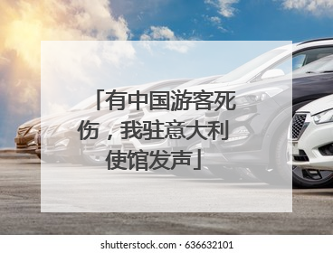 有中国游客死伤，我驻意大利使馆发声