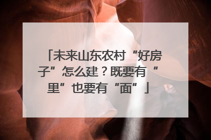 未来山东农村“好房子”怎么建？既要有“里”也要有“面”