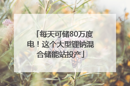 每天可储80万度电！这个大型锂钠混合储能站投产