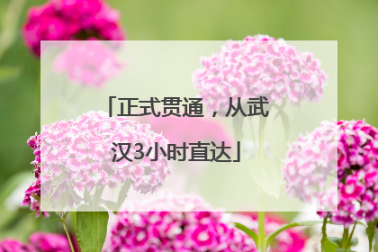 正式贯通，从武汉3小时直达