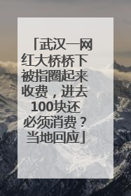 武汉一网红大桥桥下被指圈起来收费，进去100块还必须消费？当地回应