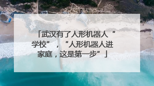 武汉有了人形机器人“学校”，“人形机器人进家庭，这是第一步”