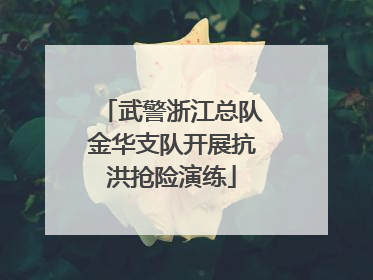 武警浙江总队金华支队开展抗洪抢险演练