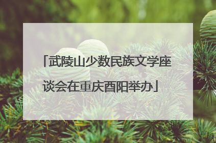 武陵山少数民族文学座谈会在重庆酉阳举办