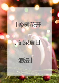 栾树花开，记录夏日浪漫