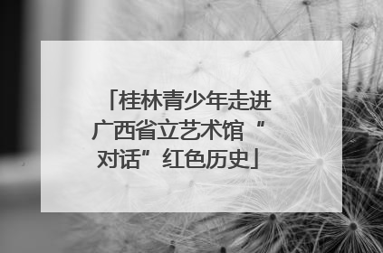 桂林青少年走进广西省立艺术馆“对话”红色历史