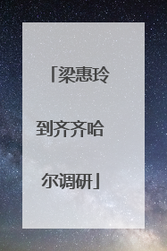 梁惠玲到齐齐哈尔调研