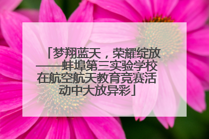 梦翔蓝天，荣耀绽放——蚌埠第三实验学校在航空航天教育竞赛活动中大放异彩