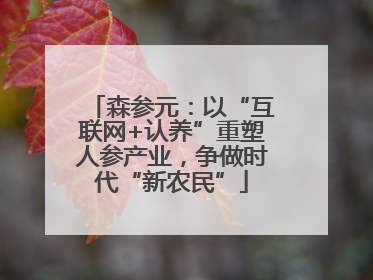 森参元：以“互联网+认养”重塑人参产业，争做时代“新农民”