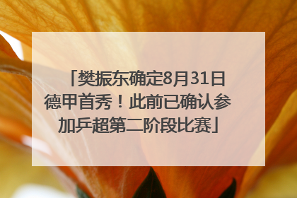樊振东确定8月31日德甲首秀！此前已确认参加乒超第二阶段比赛