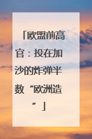 欧盟前高官：投在加沙的炸弹半数“欧洲造”