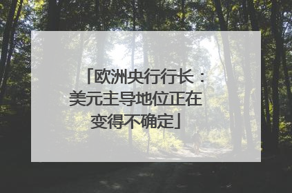 欧洲央行行长：美元主导地位正在变得不确定