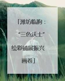 潍坊临朐：“三色沃土”绘彩铺展振兴画卷