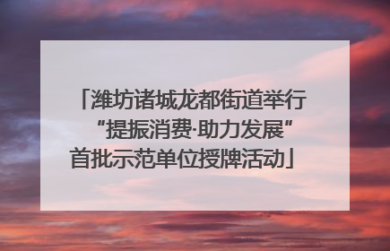 潍坊诸城龙都街道举行“提振消费·助力发展”首批示范单位授牌活动
