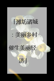 潍坊诸城：美丽乡村催生美丽经济