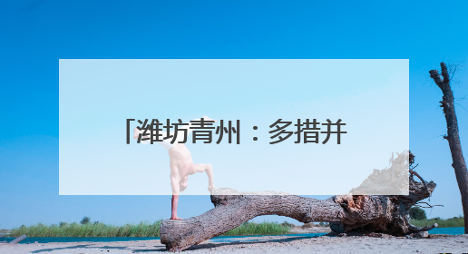 潍坊青州：多措并举暖心护航高考
