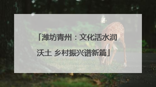 潍坊青州：文化活水润沃土 乡村振兴谱新篇