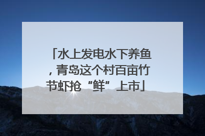 水上发电水下养鱼，青岛这个村百亩竹节虾抢“鲜”上市