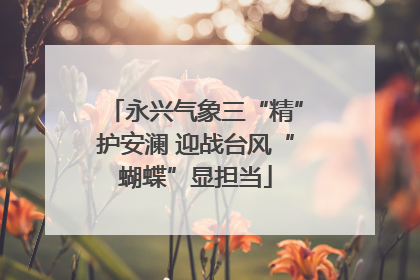 永兴气象三“精”护安澜 迎战台风“蝴蝶”显担当