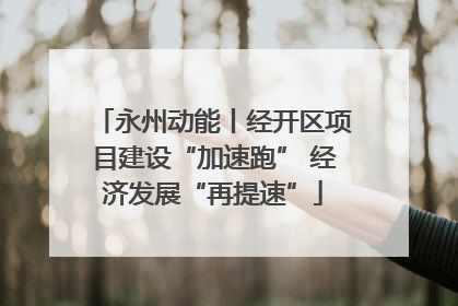 永州动能丨经开区项目建设“加速跑” 经济发展“再提速”