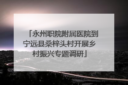 永州职院附属医院到宁远县桑梓头村开展乡村振兴专题调研
