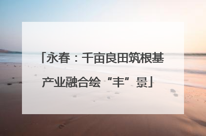 永春：千亩良田筑根基 产业融合绘“丰”景