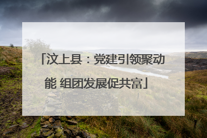 汶上县：党建引领聚动能 组团发展促共富
