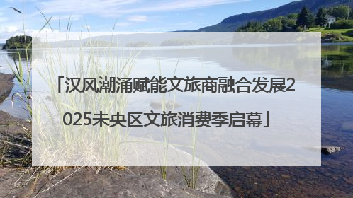 汉风潮涌赋能文旅商融合发展2025未央区文旅消费季启幕