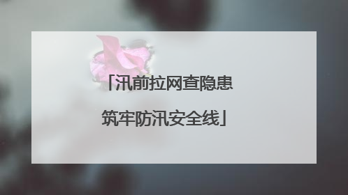 汛前拉网查隐患 筑牢防汛安全线