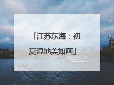 江苏东海：初夏湿地美如画