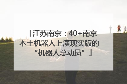 江苏南京：40+南京本土机器人上演现实版的“机器人总动员”