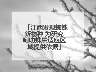 江西发现蜘蛛新物种 为研究呵叻蛛属适应区域提供依据