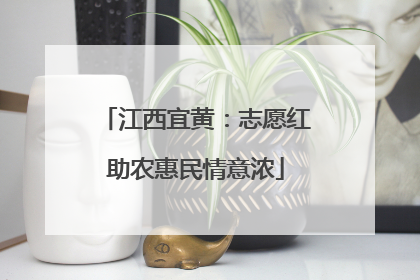 江西宜黄：志愿红助农惠民情意浓