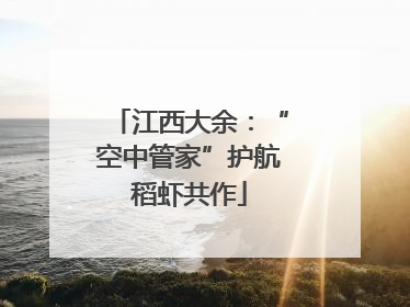 江西大余：“空中管家”护航稻虾共作