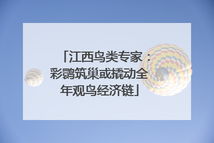 江西鸟类专家：彩鹮筑巢或撬动全年观鸟经济链