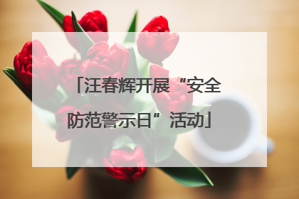 汪春辉开展“安全防范警示日”活动